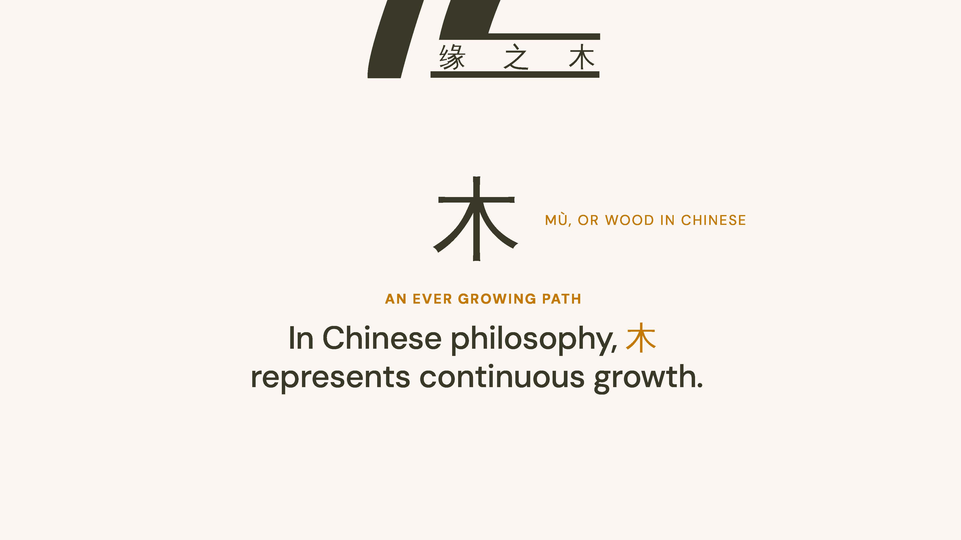 Meaning of the Chinese wood character in YZ Timber's identity
